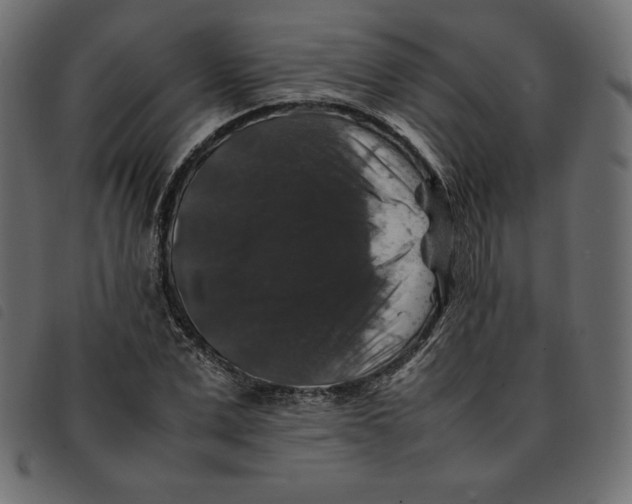 X0000092250975200710121255