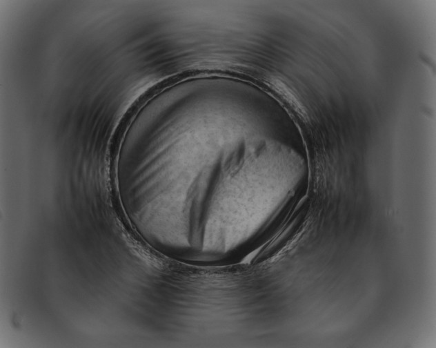 X0000092250976200710121255