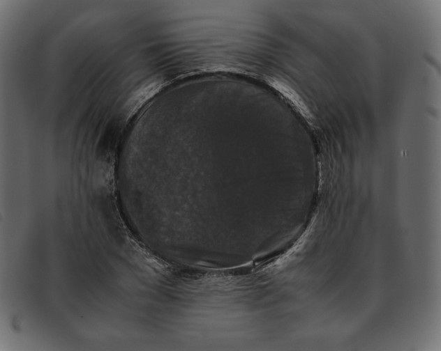 X0000092250977200710121255