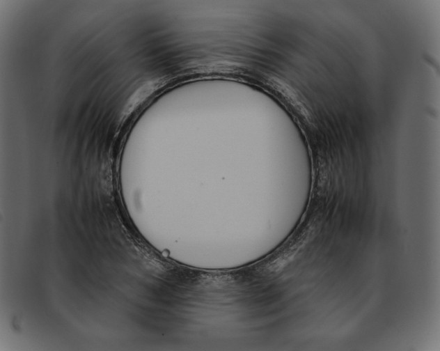 X0000092250978200710121255