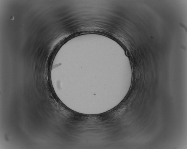 X0000092250979200710121255