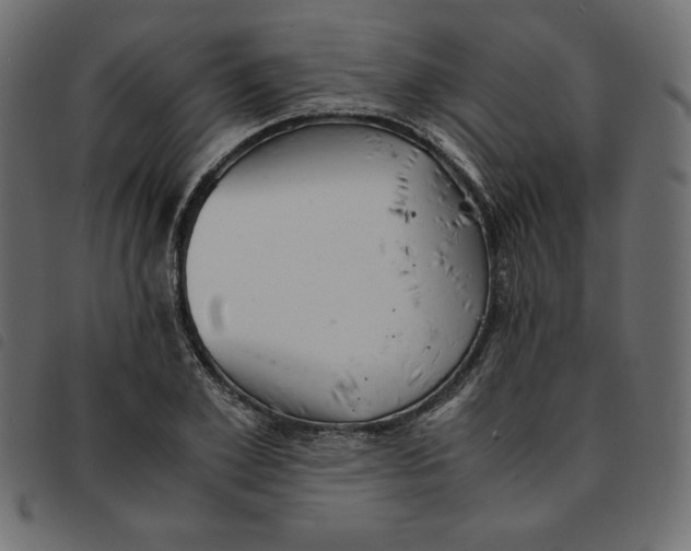 X0000092250981200710121255