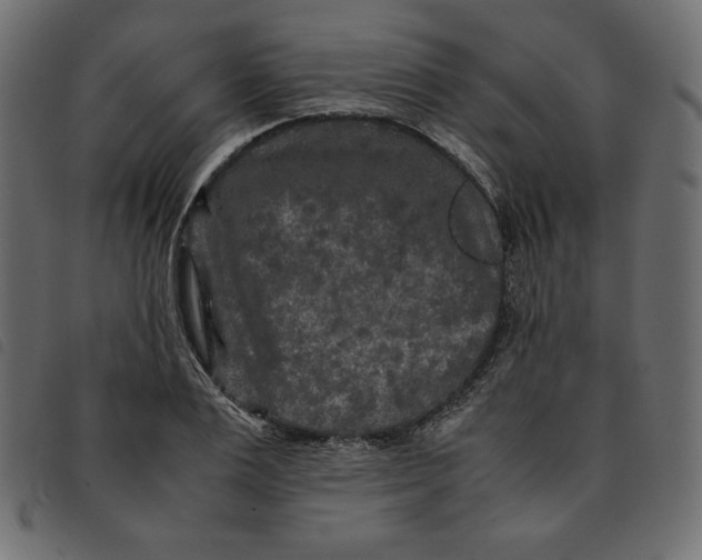 X0000092250983200710121255