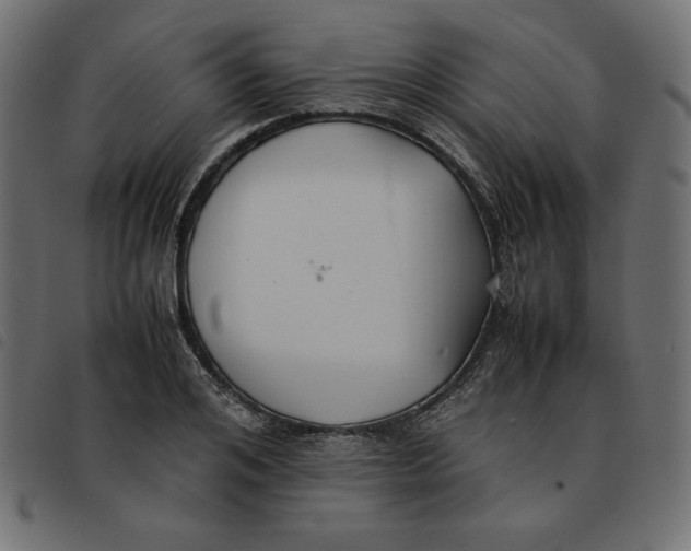 X0000092250984200710121255