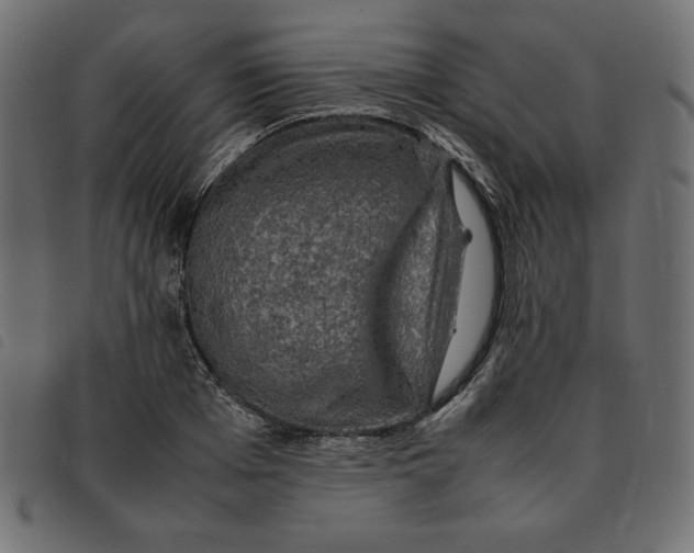 X0000092250985200710121255