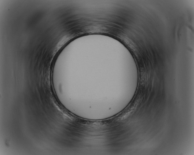 X0000092250986200710121255