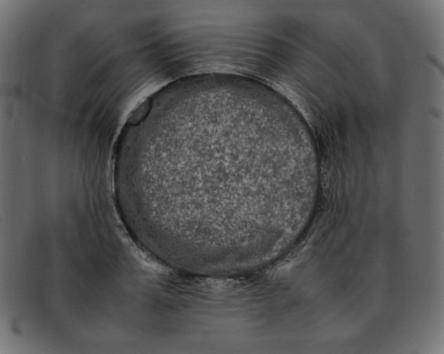 X0000092250987200710121255
