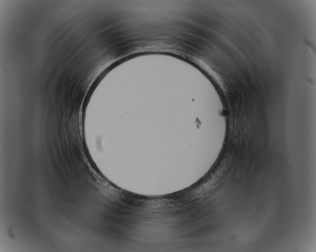 X0000092250988200710121255