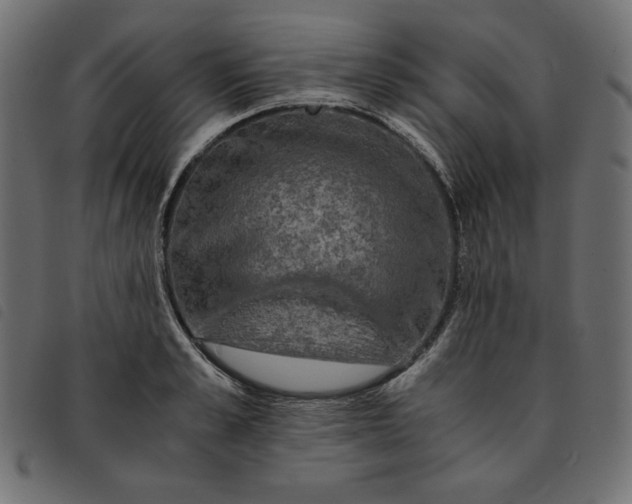 X0000092250989200710121255