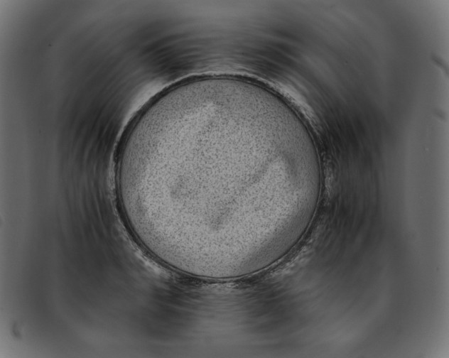 X0000092250990200710121255