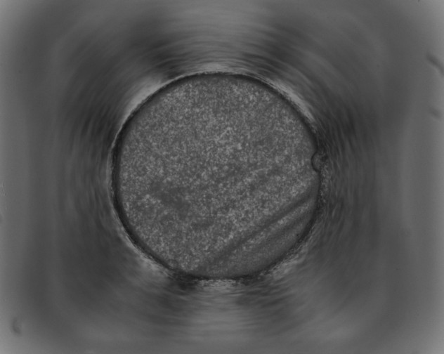 X0000092250991200710121255
