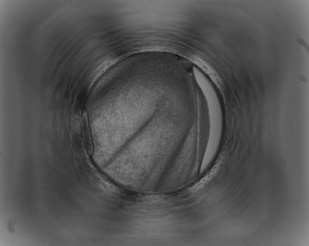 X0000092250993200710121255