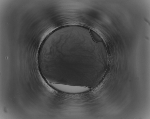 X0000092250995200710121255