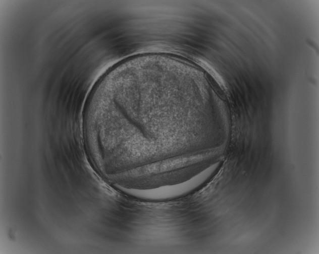 X0000092250996200710121255