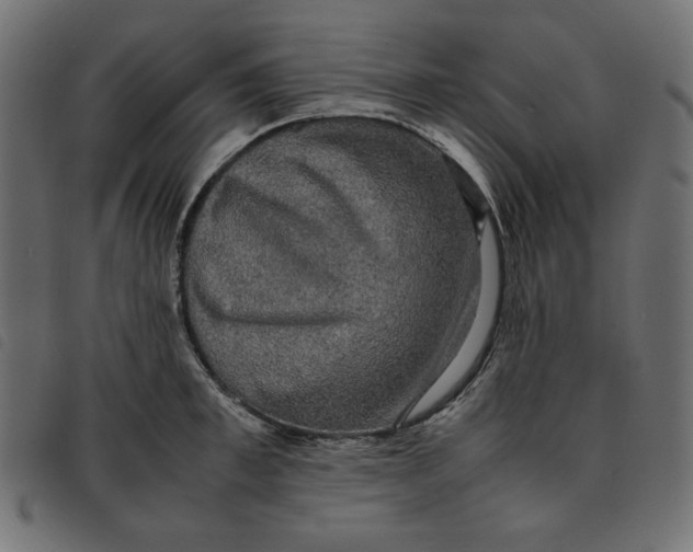 X0000092250997200710121255