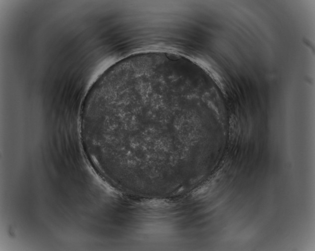X0000092250998200710121255