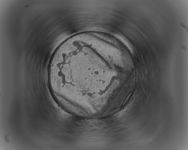 X0000092250999200710121255