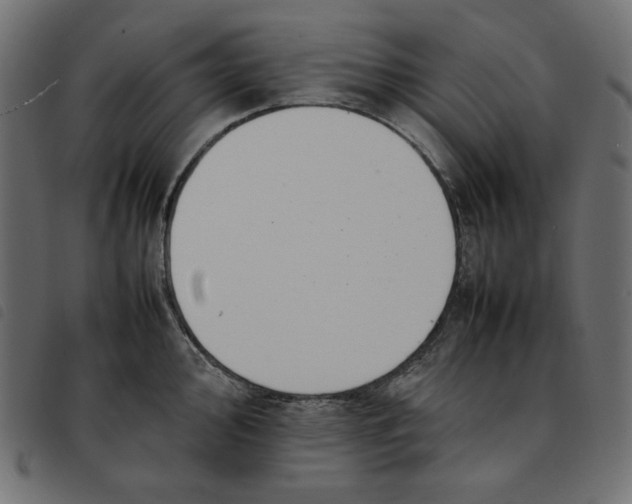 X0000092251000200710121255