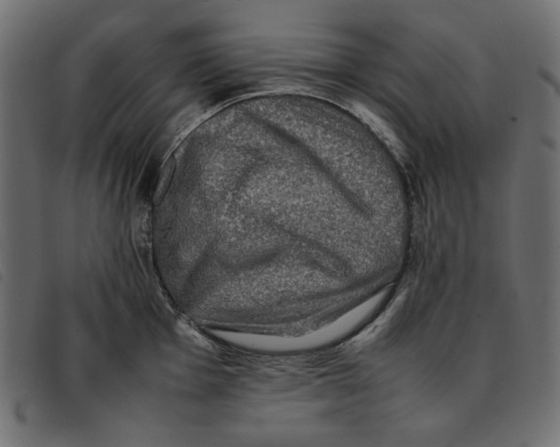 X0000092251001200710121255
