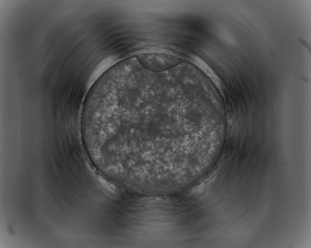 X0000092251002200710121255