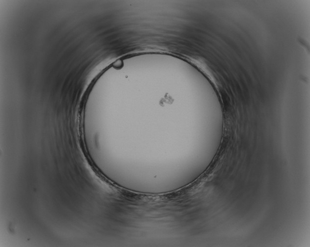 X0000092251003200710121255