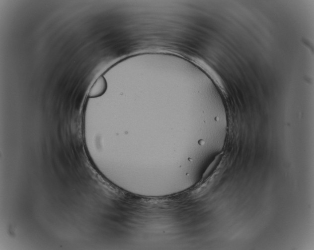X0000092251004200710121255