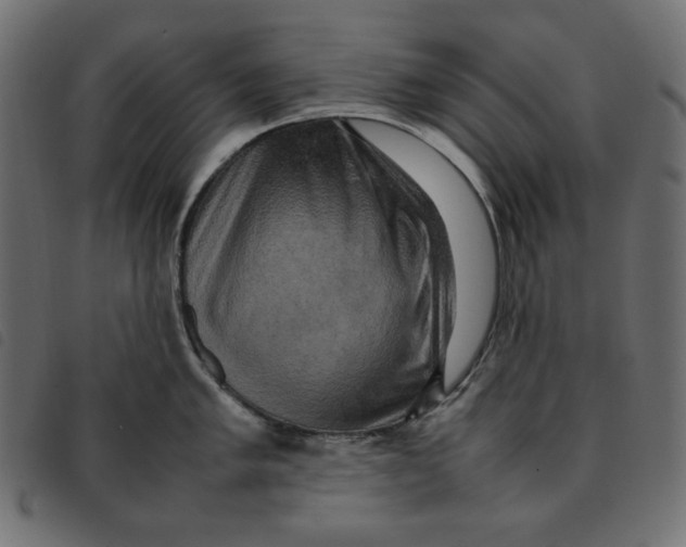 X0000092251005200710121255