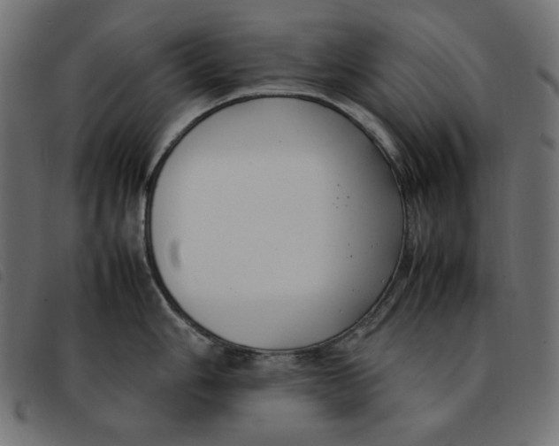 X0000092251006200710121255