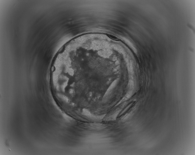 X0000092251007200710121255