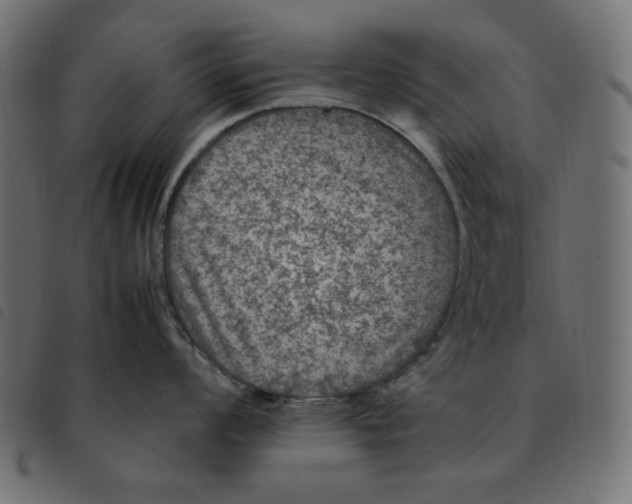 X0000092251008200710121255