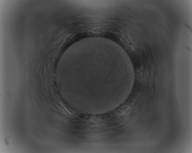 X0000092251009200710121254
