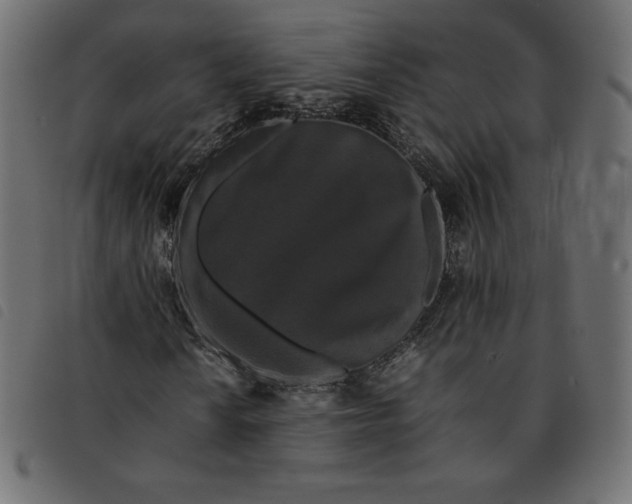 X0000092251010200710121254