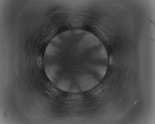 X0000092251011200710121254