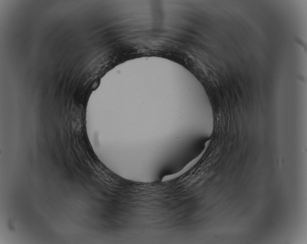 X0000092251012200710121254