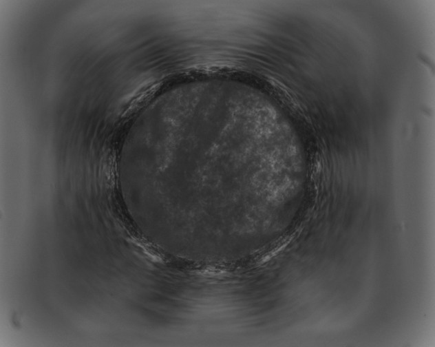 X0000092251014200710121254