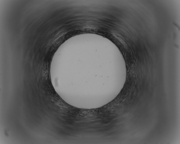 X0000092251015200710121254