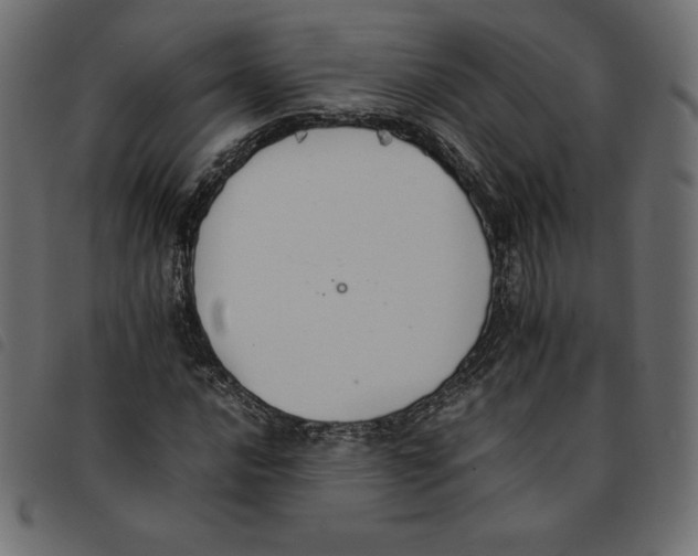 X0000092251016200710121254