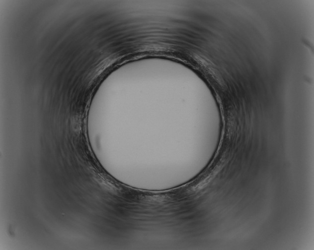 X0000092251017200710121254