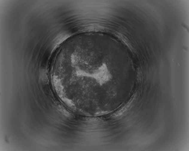 X0000092251018200710121254