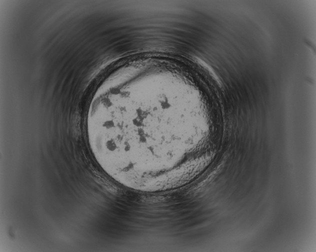 X0000092251019200710121254