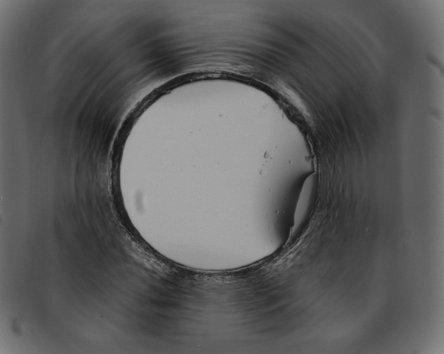 X0000092251020200710121254