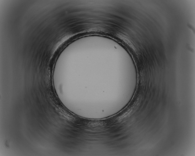 X0000092251021200710121254