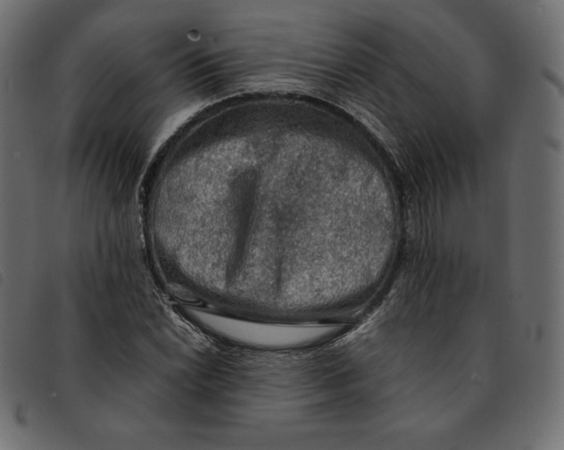 X0000092251022200710121254