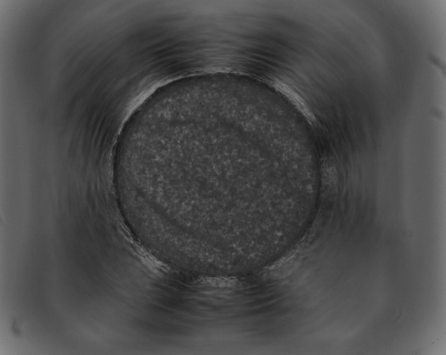X0000092251023200710121254
