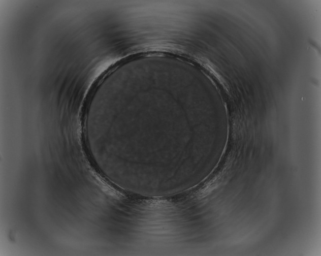 X0000092251024200710121254
