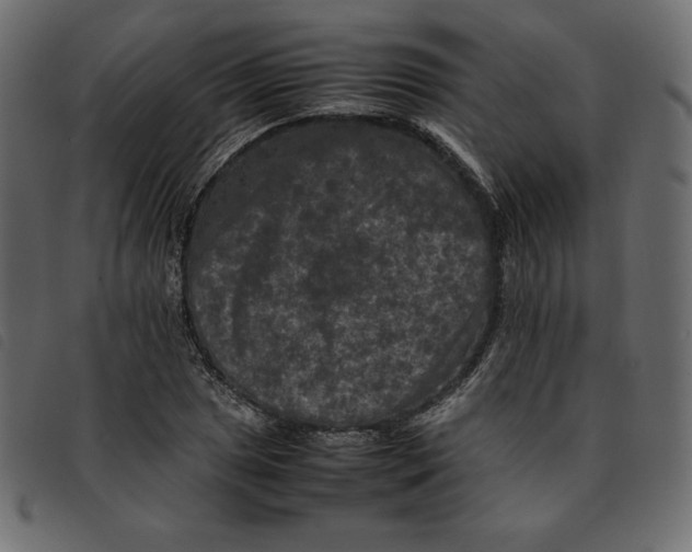 X0000092251025200710121254