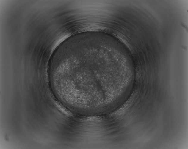 X0000092251026200710121254