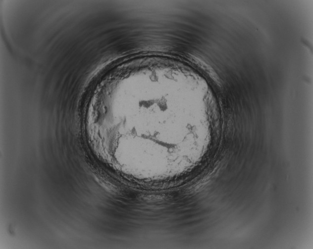 X0000092251027200710121255