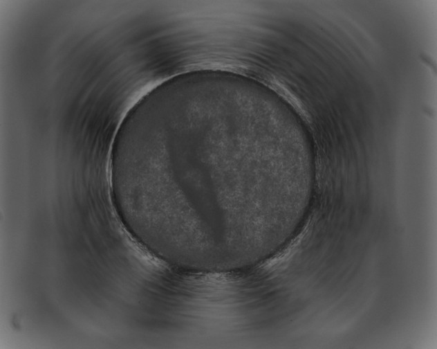 X0000092251028200710121255