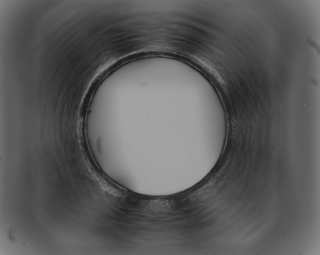 X0000092251029200710121255